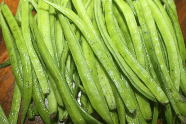 Cluster Bean Seed