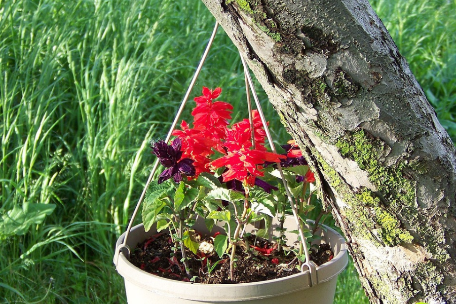 Hanging Planters For Balcony Garden
