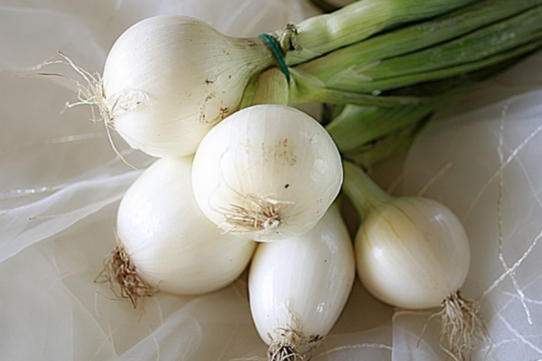 White Onion Seed