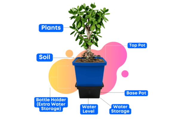 Self-Watering Pot Working Slide 1
