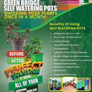 Self Watering Pots For Your Plants In Your Home Garden